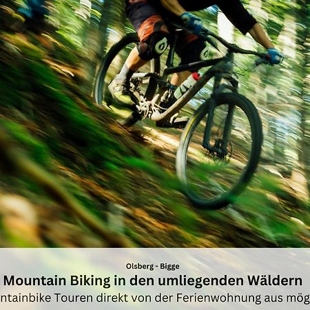 Ferienwohnungen Sauerland Und Olsberg Exteriör bild