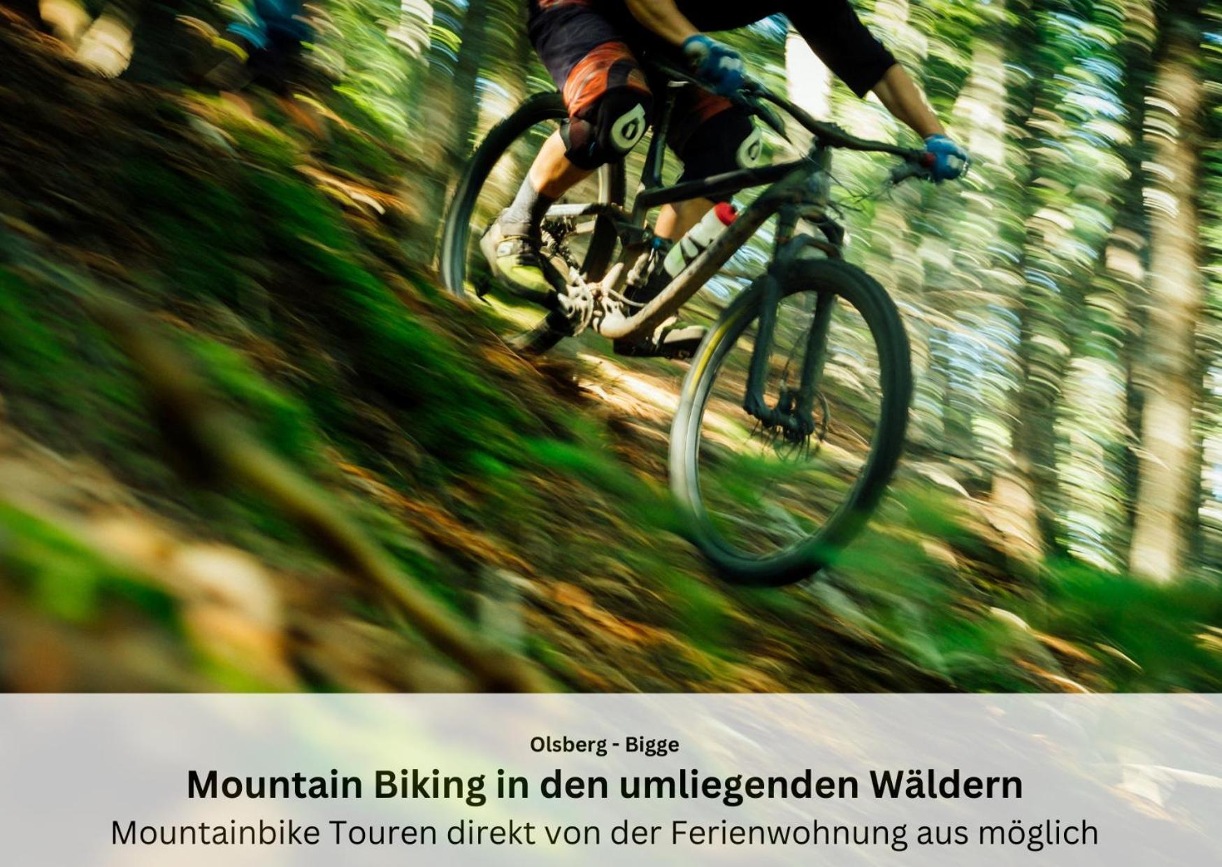 Ferienwohnungen Sauerland Und Olsberg Exteriör bild