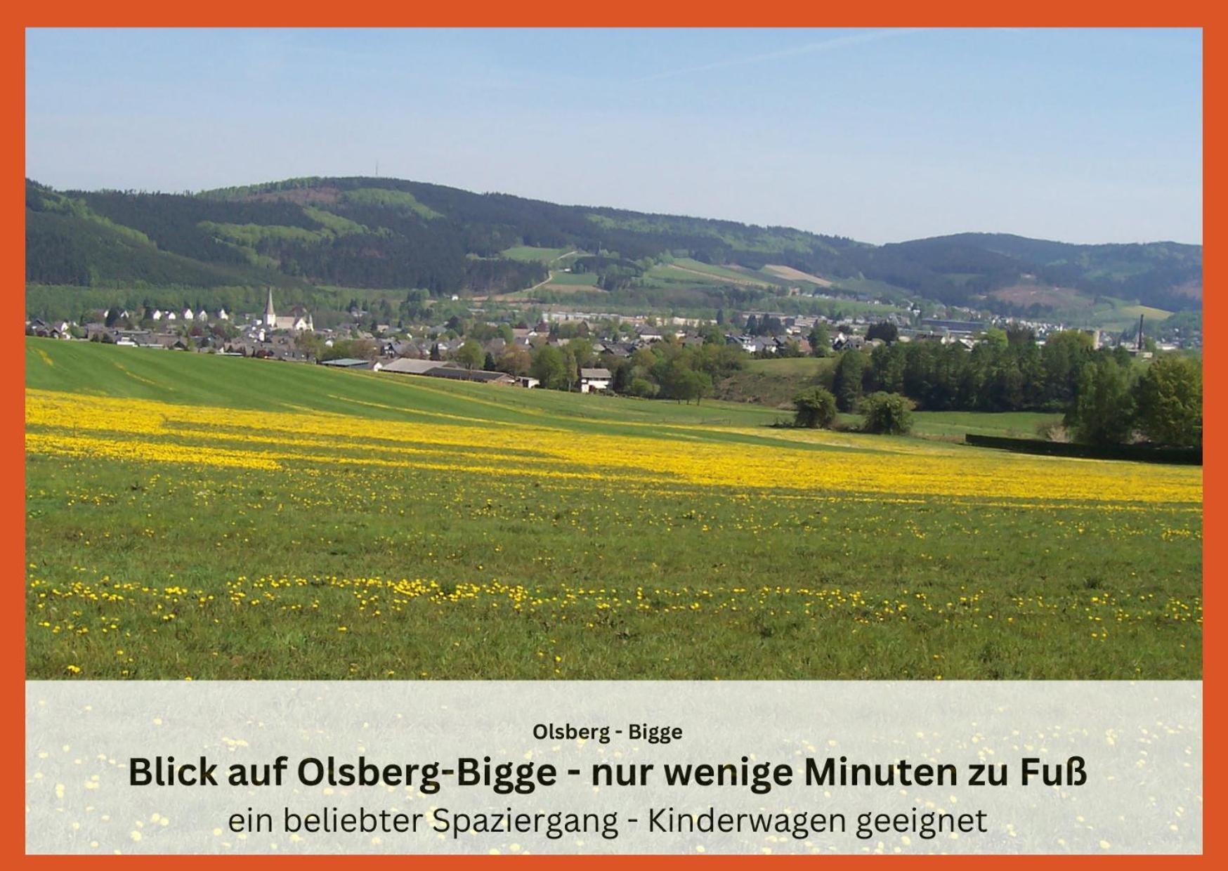 Ferienwohnungen Sauerland Und Olsberg Exteriör bild