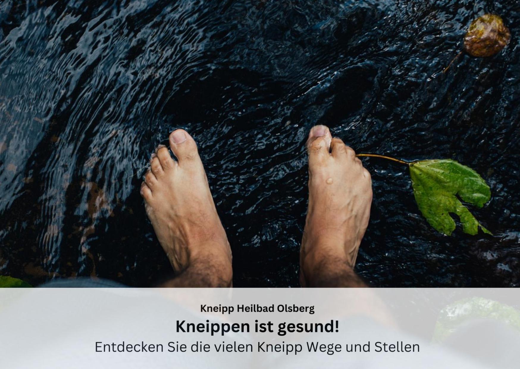 Ferienwohnungen Sauerland Und Olsberg Exteriör bild