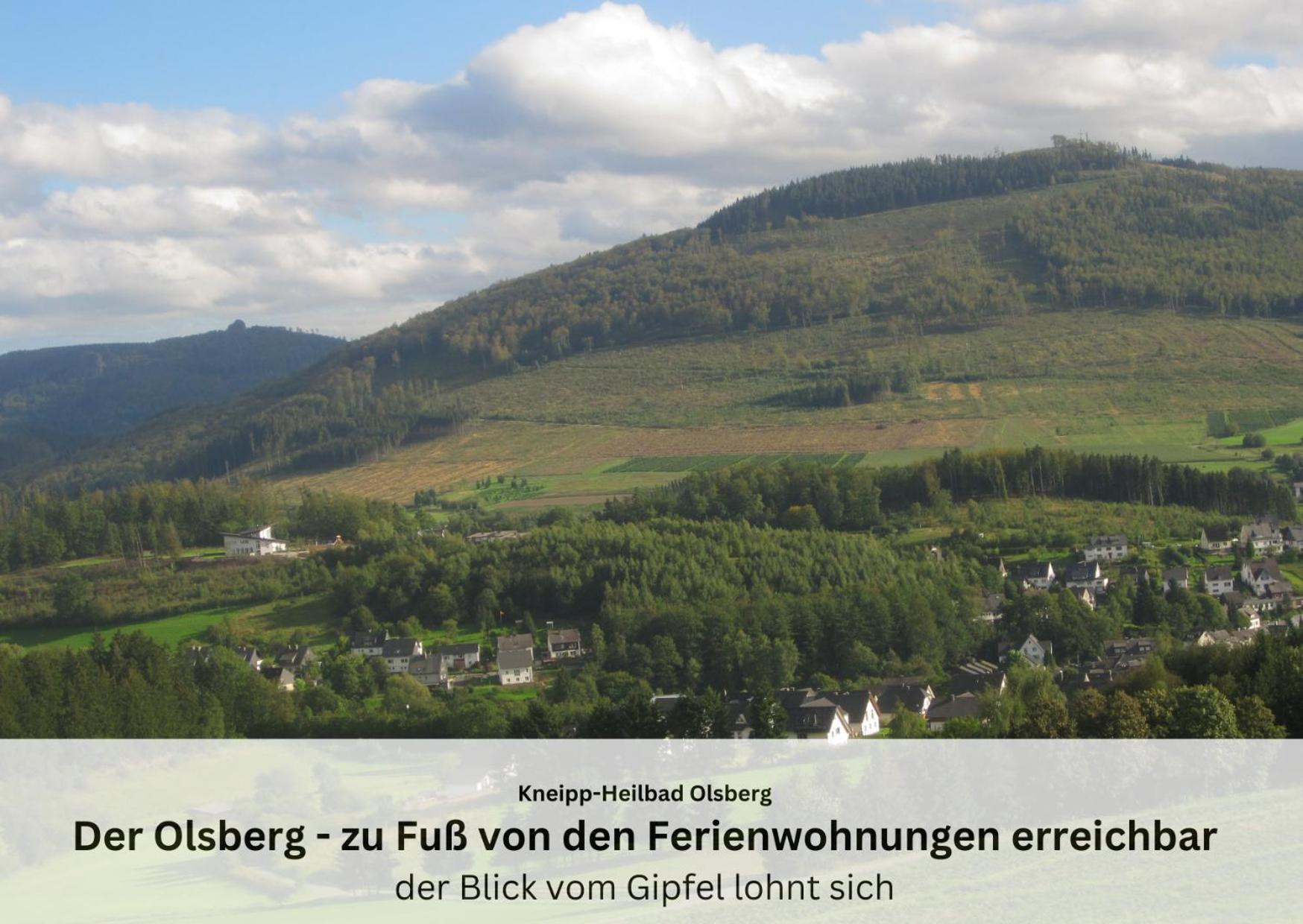 Ferienwohnungen Sauerland Und Olsberg Exteriör bild