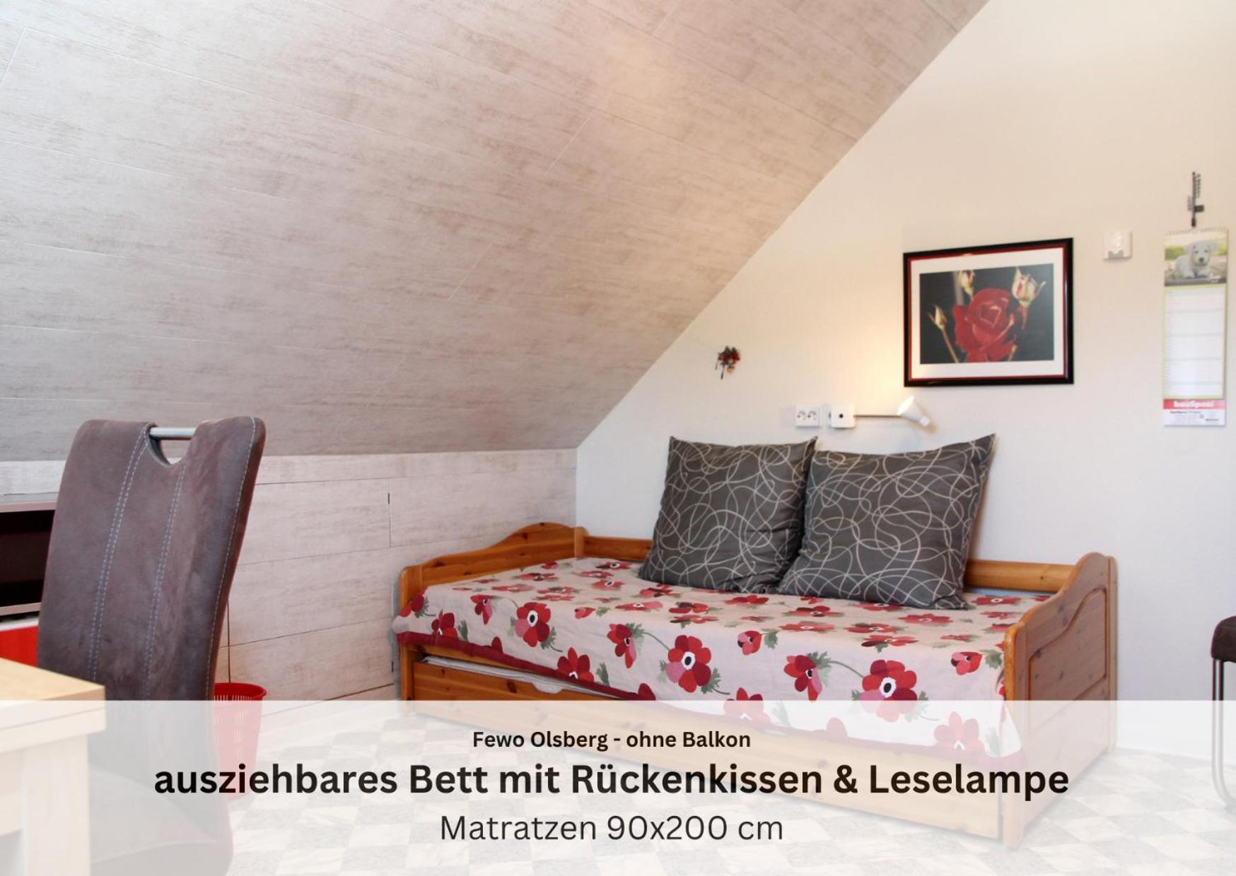 Ferienwohnungen Sauerland Und Olsberg Exteriör bild