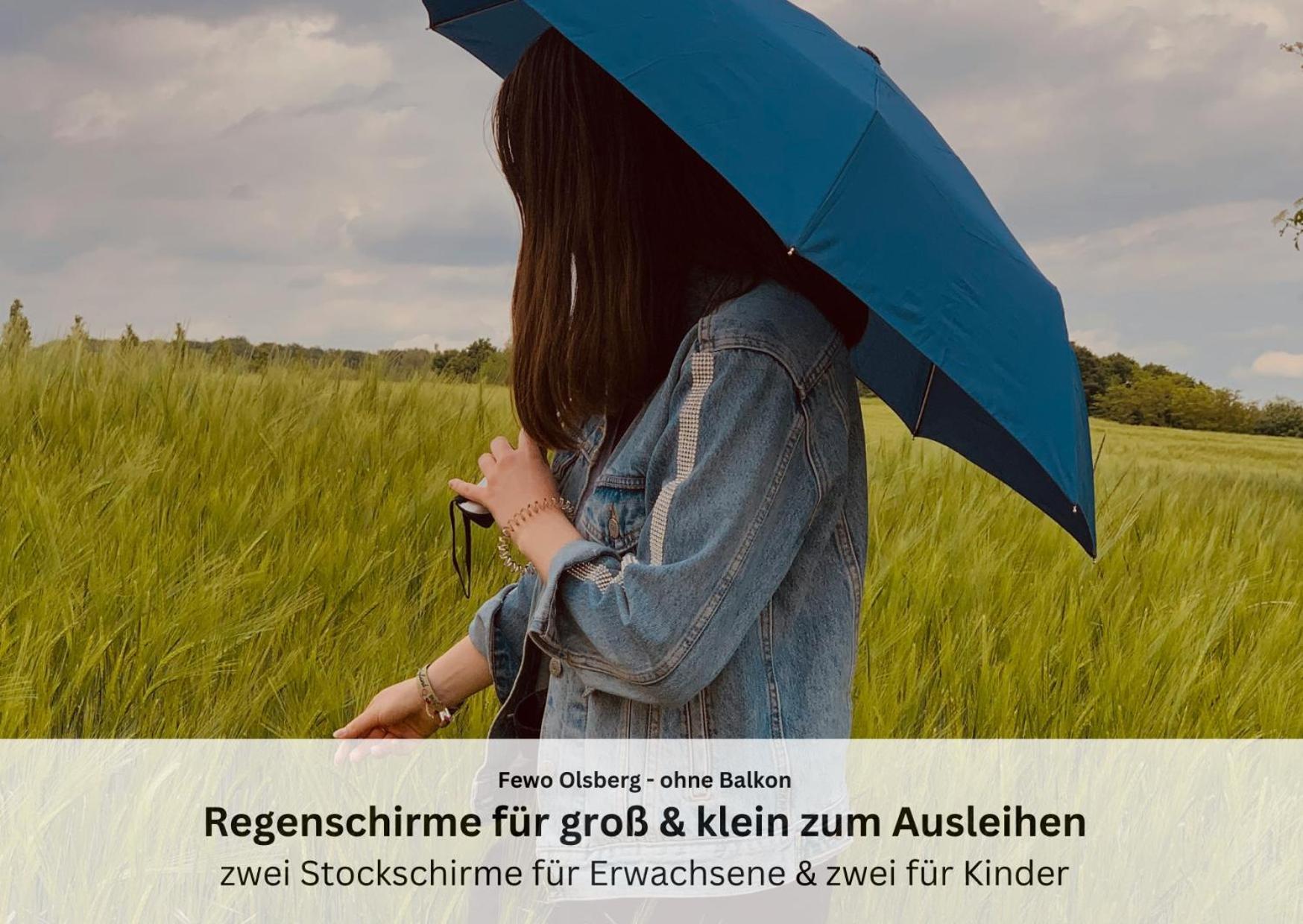 Ferienwohnungen Sauerland Und Olsberg Exteriör bild