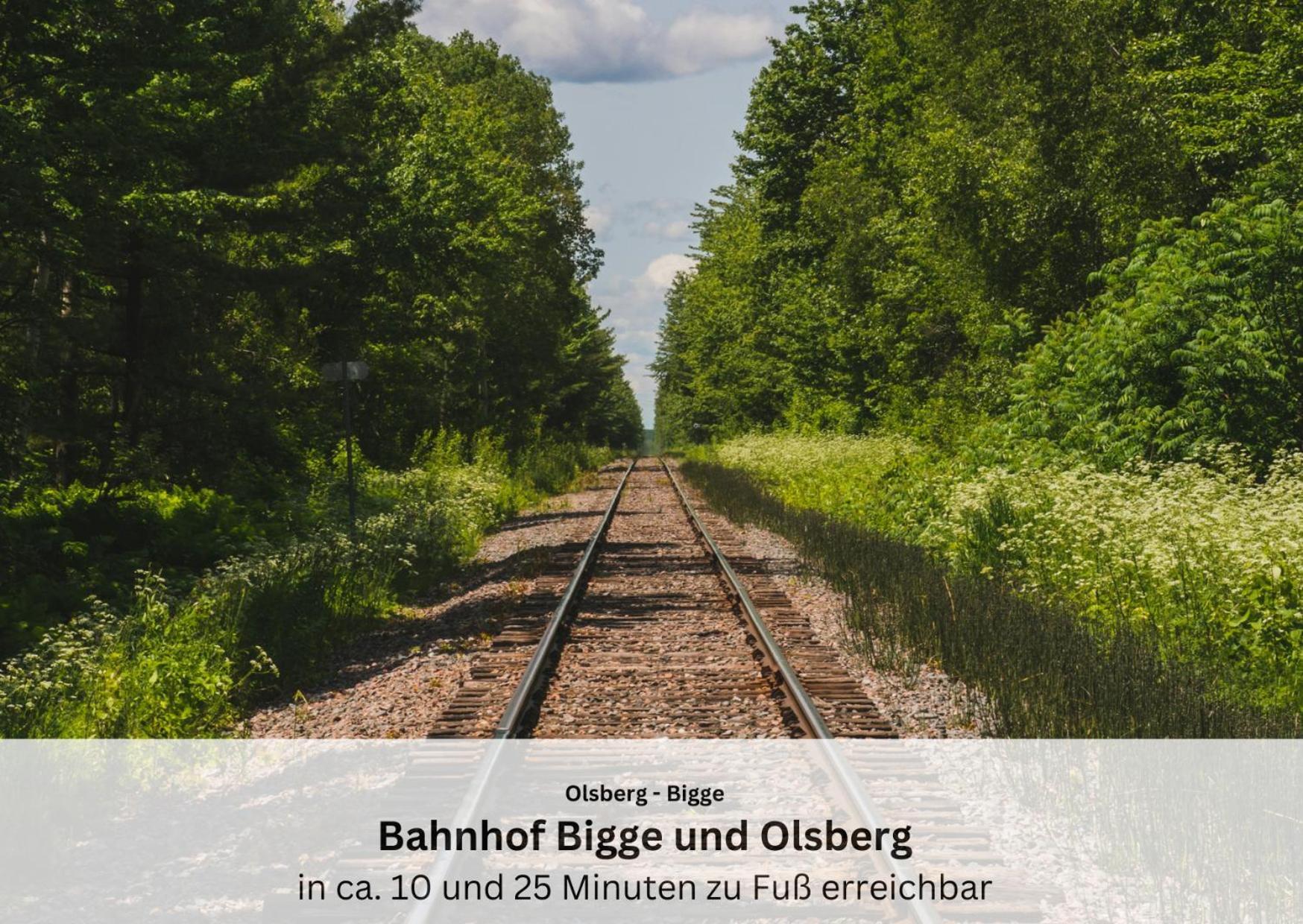 Ferienwohnungen Sauerland Und Olsberg Exteriör bild